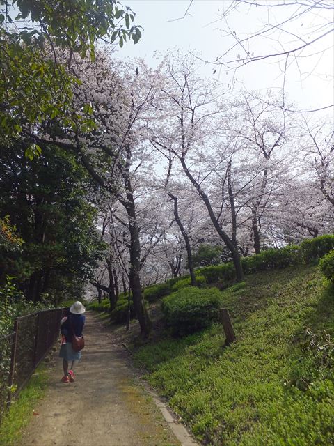 大阪城公園内の路地