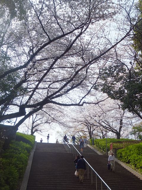 大阪城公園の階段