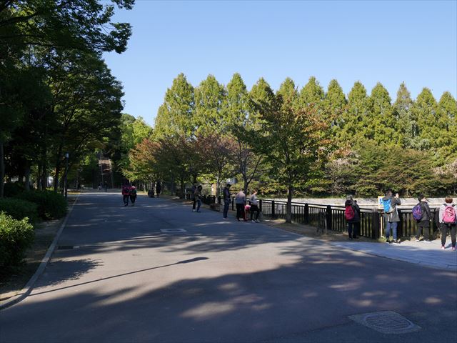 大阪城公園の東外堀近くの階段