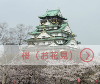 大阪城天守閣と満開の桜