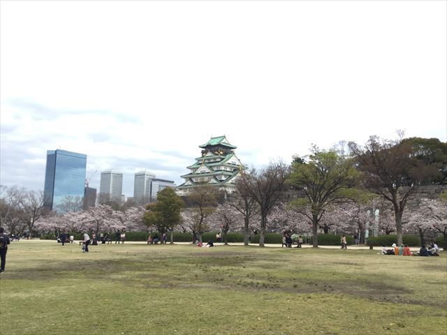 西の丸庭園の桜と大阪城天守閣