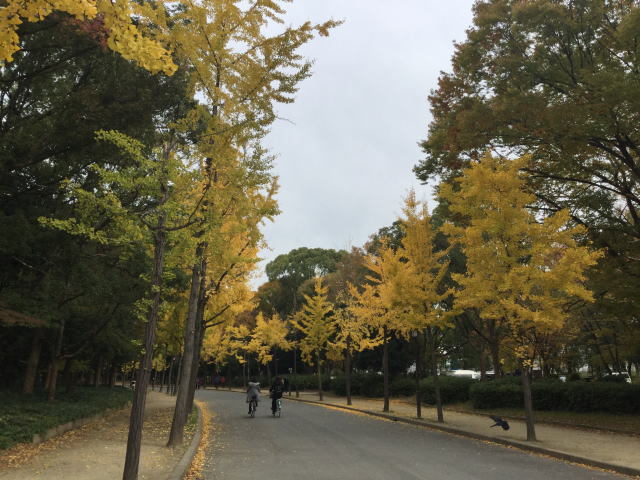 大阪城公園、森ノ宮駅噴水横の道